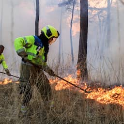 KNMI helpt natuurbranden te voorspellen nu ze ontvlambaarder zijn dan ooit