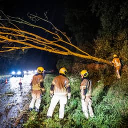 Fietser omgekomen onder omgevallen boom in Amsterdam tijdens storm Boelo