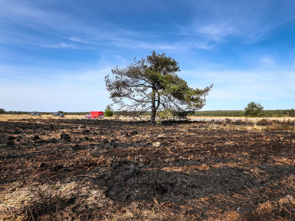 Brandweer zet extra bluswagens in wegens groot risico op natuurbranden