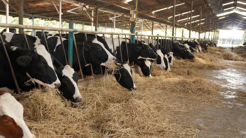 Boeren tasten ondanks miljardeninvesteringen in het duister over ...