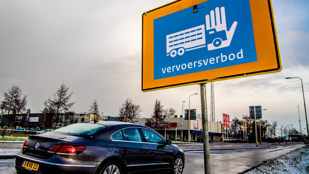 Vogelgriep vastgesteld bij pluimveebedrijf in Gronings dorp Oldekerk