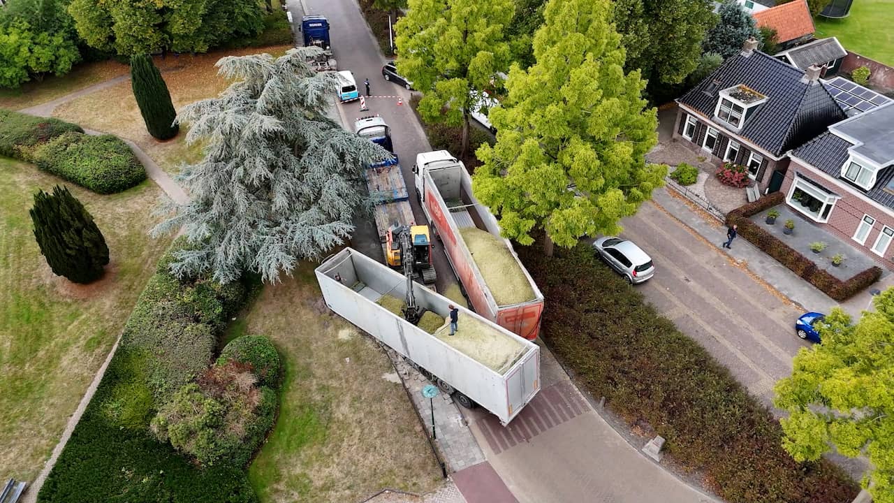 Video | Luchtbeelden tonen losgeschoten vrachtwagentrailer in Friesland