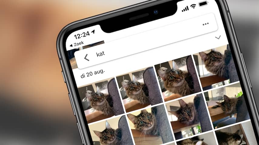 De Vier Beste Apps Voor Honden En Katten Op Dierendag Tech NU nl de-vier-beste-apps-voor-honden-en-katten-op-dierendag-tech-nu-nl
