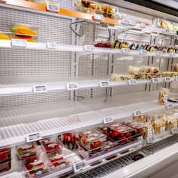 Albert Heijn bezorgt de rest van de week geen boodschappen