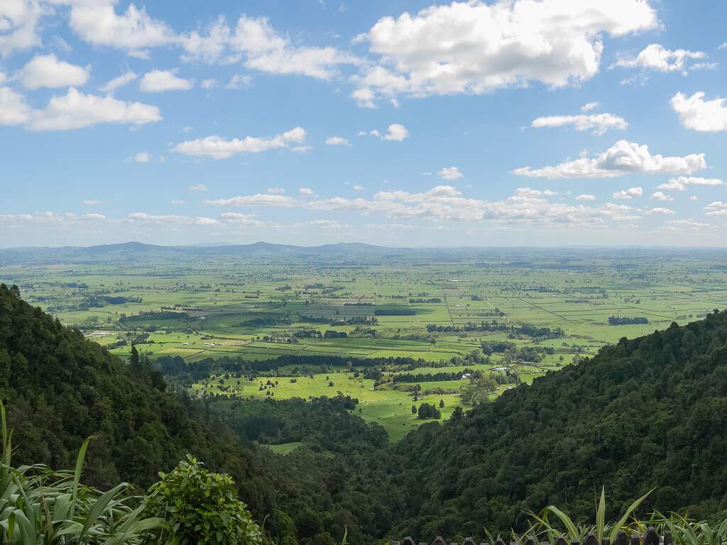 Tieners spotten jaren voortvluchtige vader en kinderen in wildernis Nieuw-Zeeland