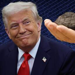 Explainer | Waarom Trump zijn zinnen heeft gezet op deze bijzondere knollen