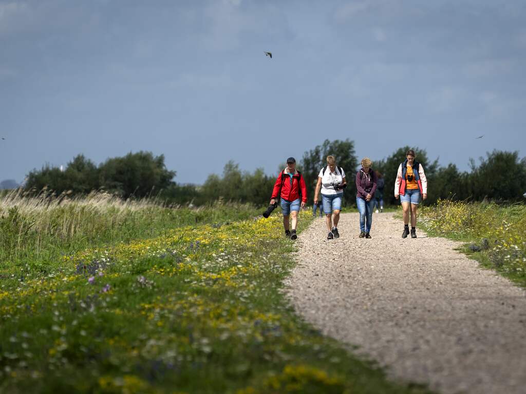 Campagne vraagt wandelaars om rust in natuur te respecteren in broedseizoen