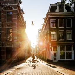 NU+ | Hoe koel je een stad met groen? 'Je kan niet overal een boom neerzetten'