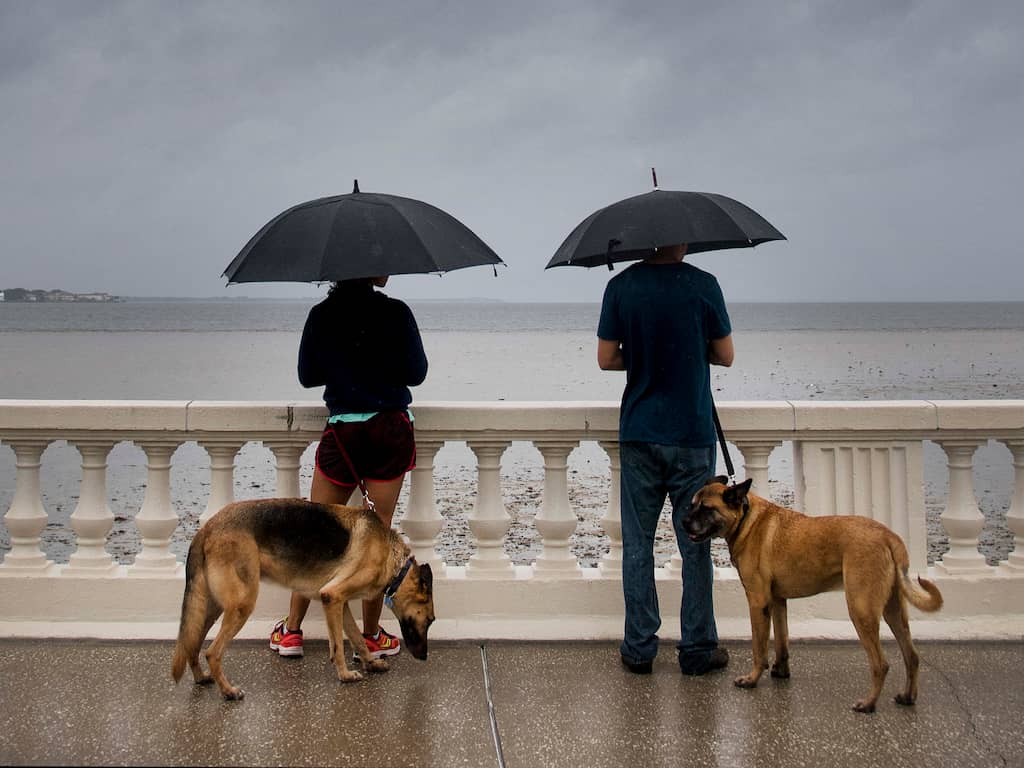 Weerbericht: Zonnig en bewolkt, 's middags kans op onweer en veel regen