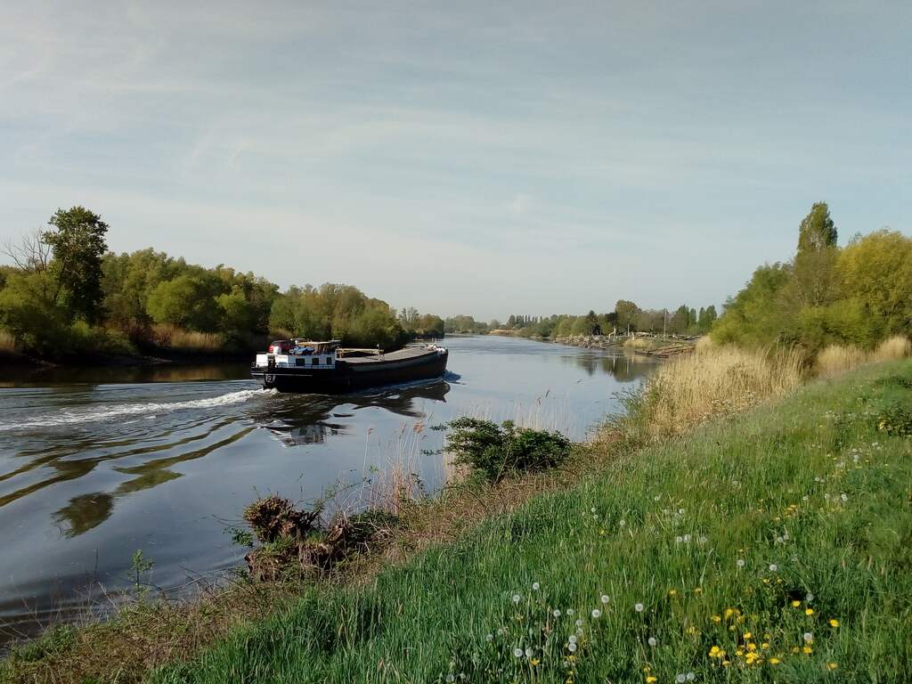 Lichaam van schipper gevonden op gezonken schip in de Schelde