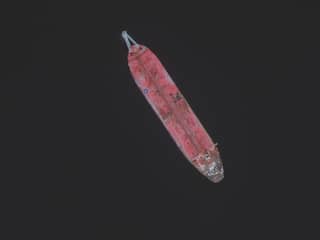 Kabinet trekt 7,5 miljoen uit om ramp met olietanker bij Jemen te voorkomen