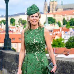 Video | Máxima bij chaotisch fotomoment: 'Het gaat normaal zo vreedzaam'