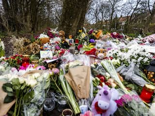 Turnleraar Van de G. in hoger beroep tegen straf voor doden Esmee (14)