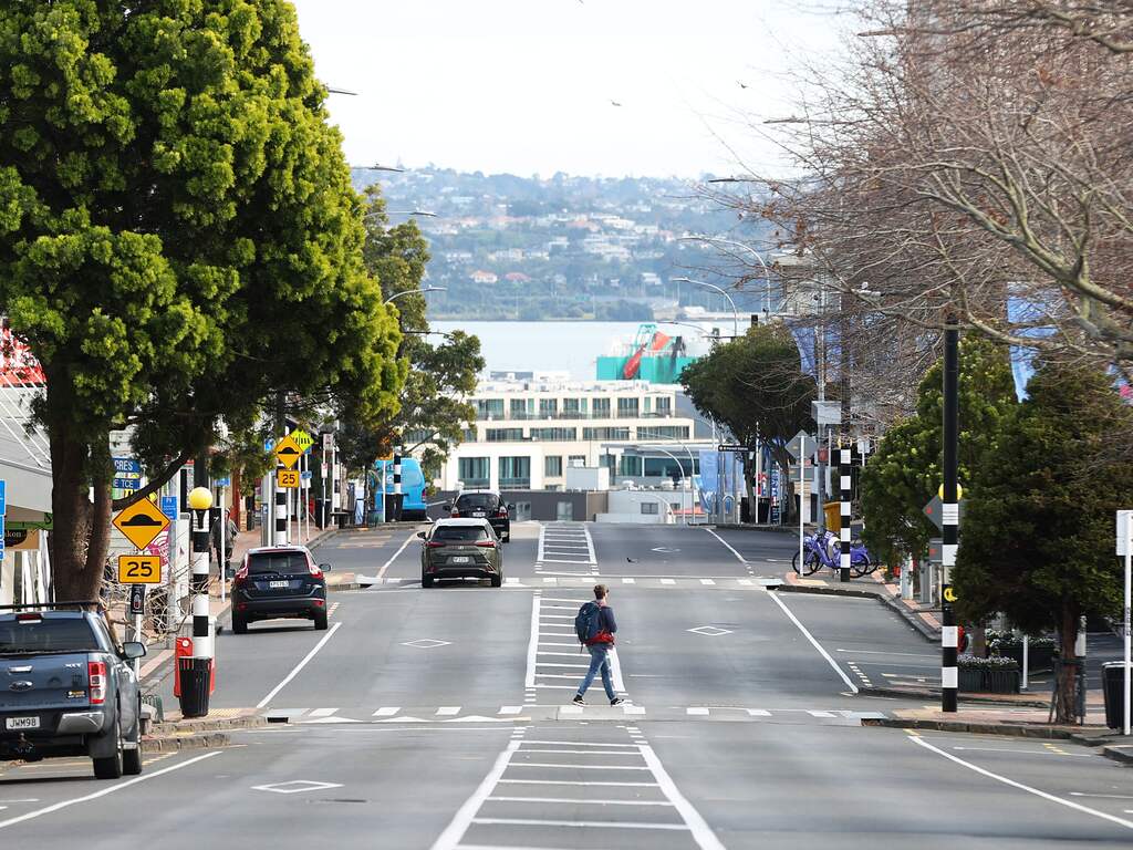 Eén Nieuw-Zeelander komt opdagen bij antilockdowndemonstratie in Auckland