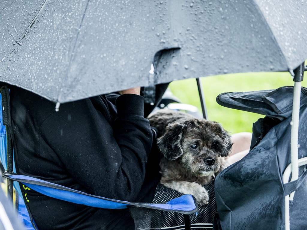 Weerbericht: Veel opklaringen en enkele buien
