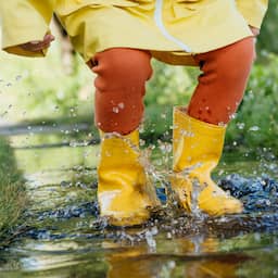 Week start droog en zonnig, maar daarna vooral regenbuien en wind