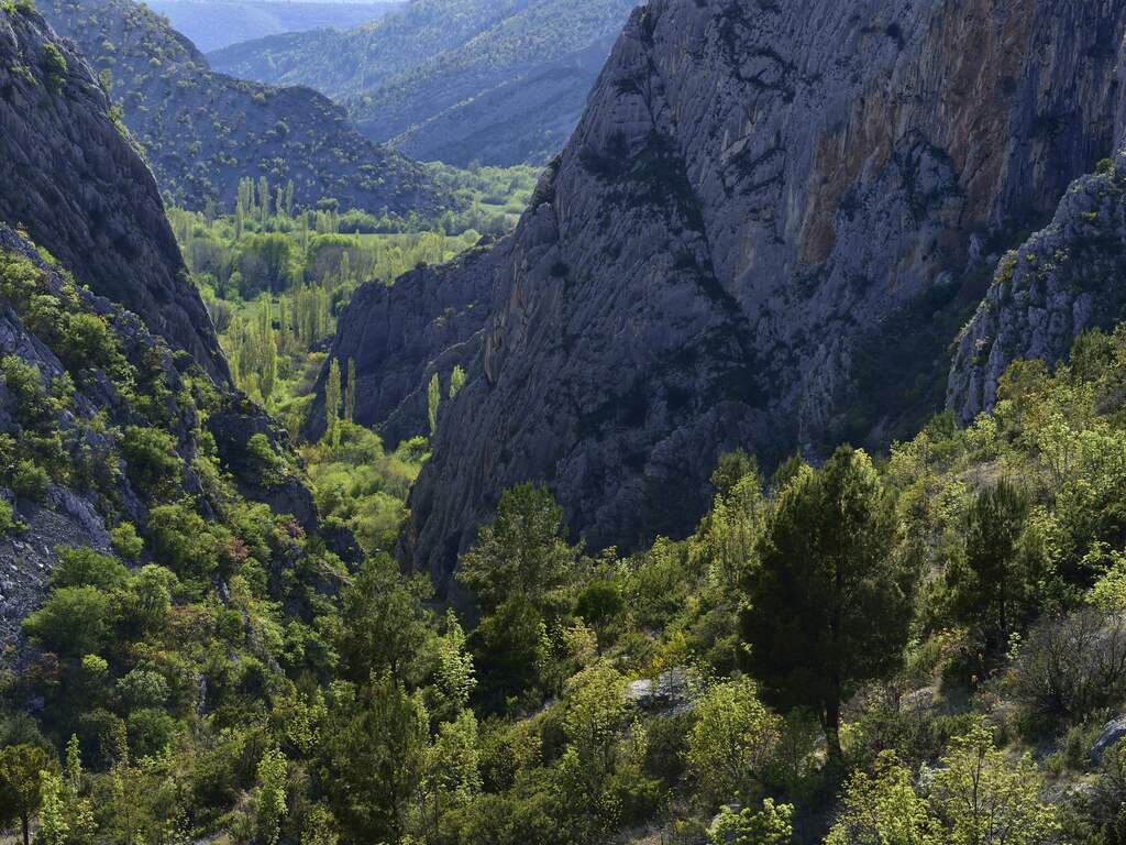 Nederlands vliegtuigje neergestort in bosrijk gebied Kroatië