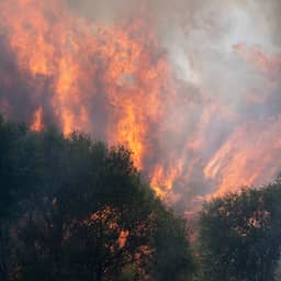 Spanje roept noodtoestand uit in regio Madrid vanwege bosbranden