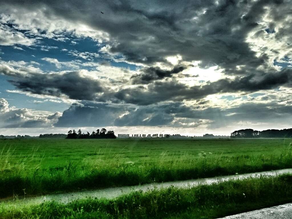 Donderdag 10 augustus: Boven grote delen van Nederland is het momenteel bewolkt.