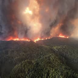 Bosbranden in Canada zorgden zelfs hier voor waterig zonnetje