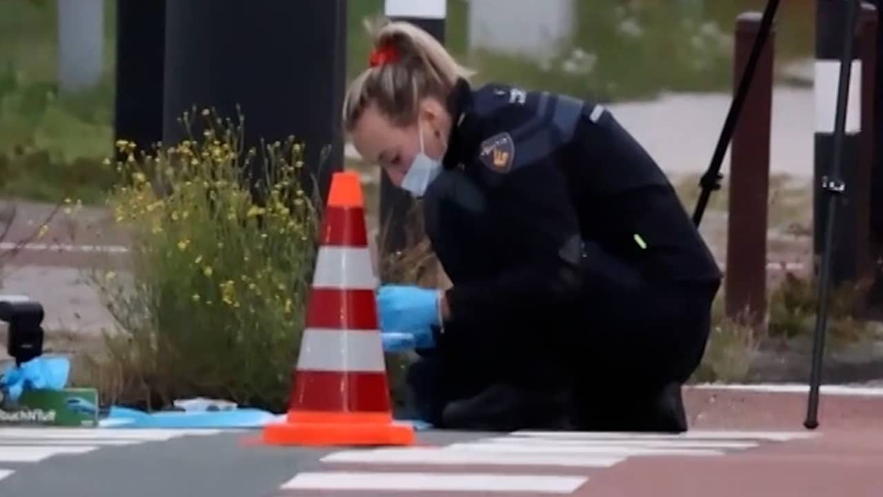Verdachte aangehouden rond dood 17-jarige Lisa | NU.nl