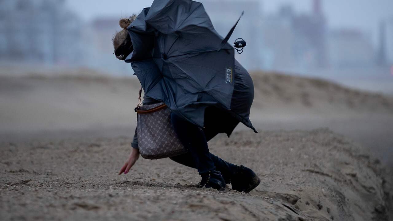 Hoe kun je je het best voorbereiden op een storm als Eunice? | Storm