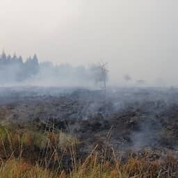 Verbrand gebied België zeer snel verdubbeld: 'Ergste brand in onze geschiedenis'