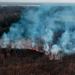 Video | Drone filmt grote brand in bosgebied bij Oranjewoud