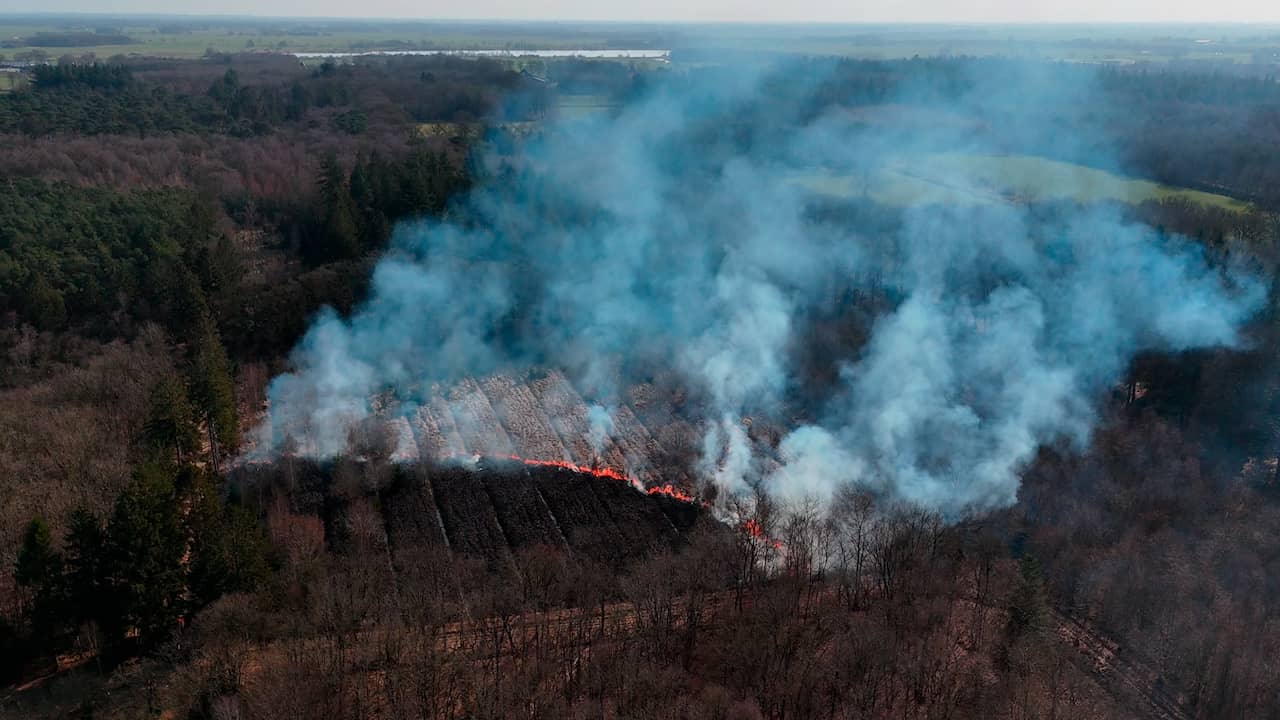 Video | Drone filmt grote brand in bosgebied bij Oranjewoud