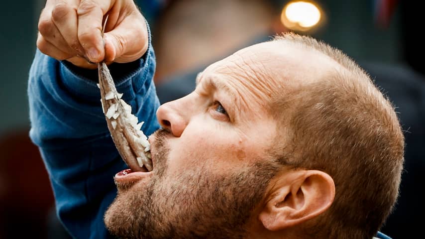 Visboeren doen aangifte tegen het AD om smaad en laster door haringtest