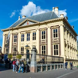 Rechtbank oordeelt dat kunstwerken Mauritshuis nie