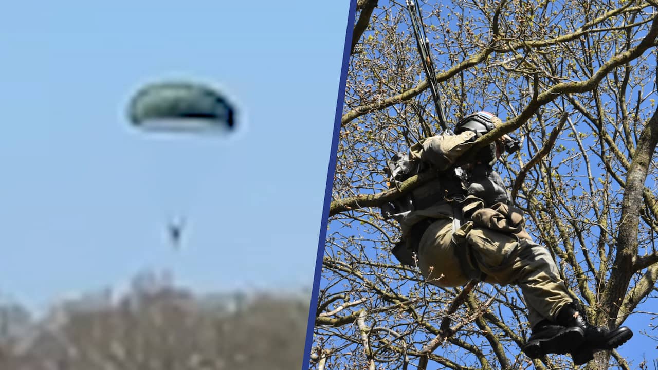 Video | Parachutist belandt in boom bij Drentse herdenkingstocht