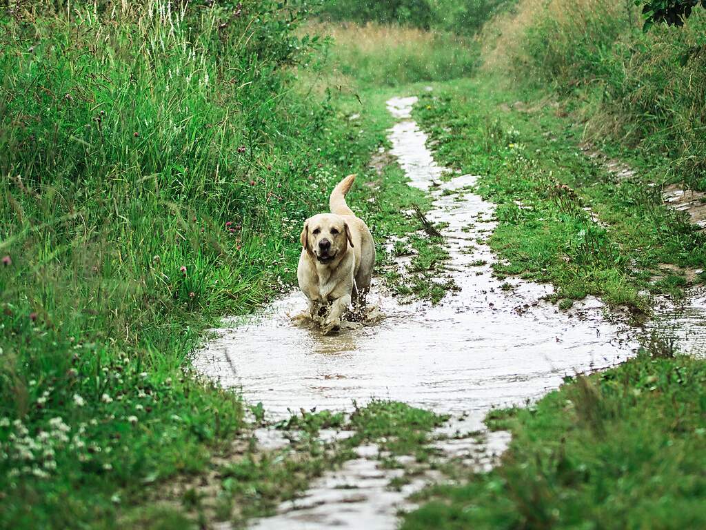 Weekweerbericht | Trui kan in de kast blijven, maar regenjas voorlopig niet