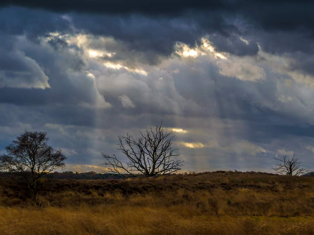 Zondag 20 november: Met moeite weten een paar zonnestralen de weg door het wolkendek te vinden.