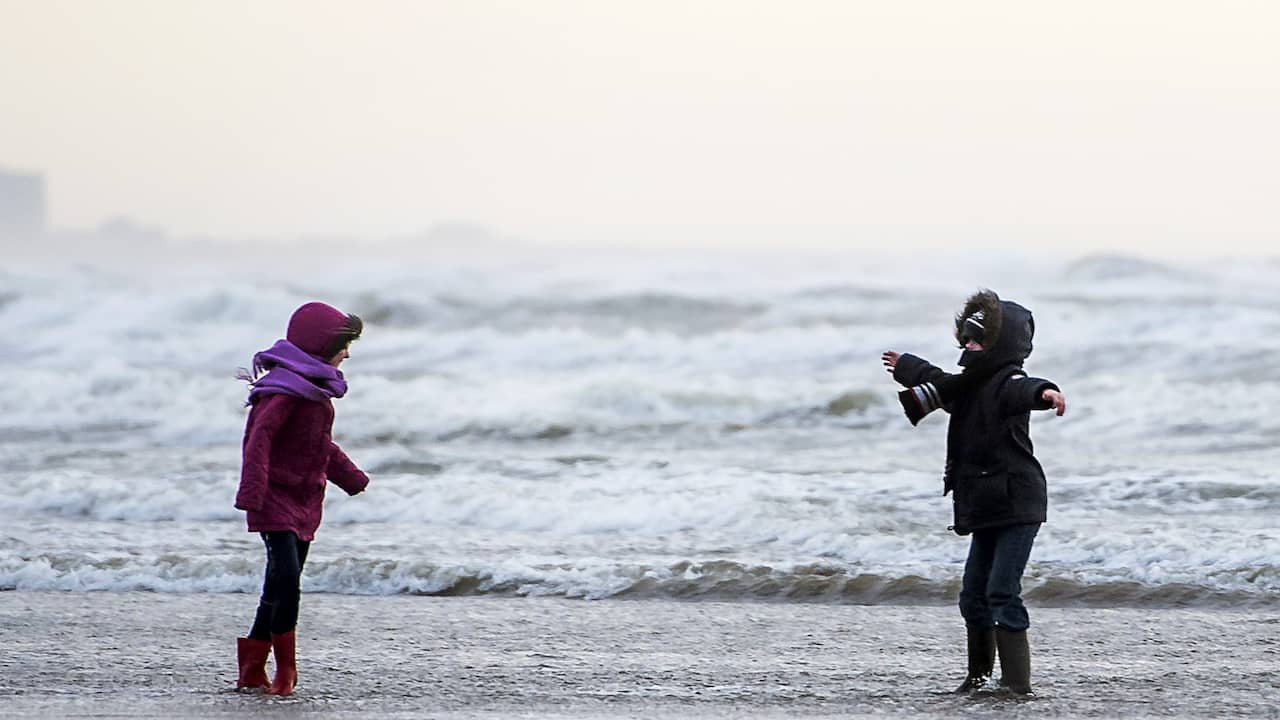Vanaf donderdagavond code geel in bijna heel Nederland vanwege forse wind