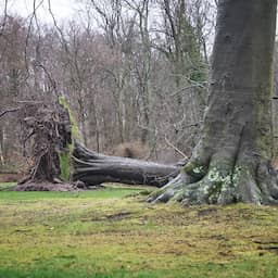 Vrijdagavond code geel in drie provincies vanwege harde wind door storm Austen
