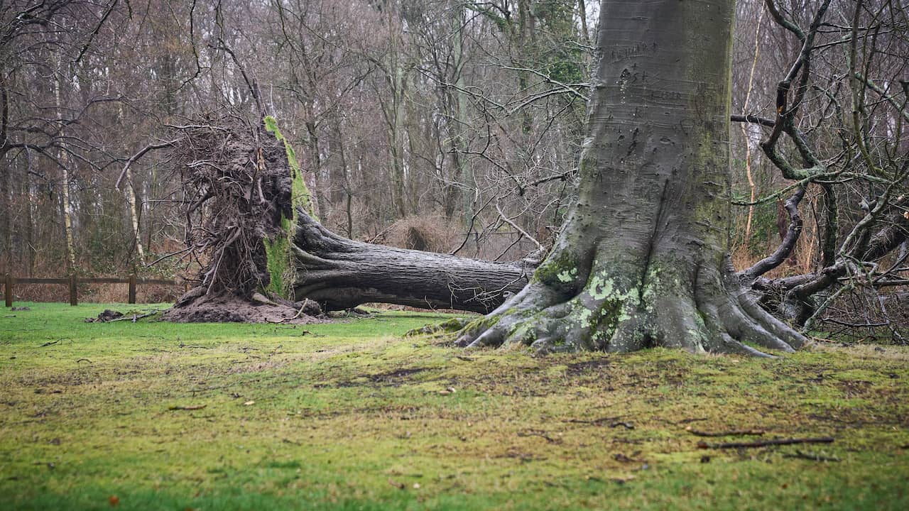 Vrijdagavond code geel in drie provincies vanwege harde wind door storm Austen