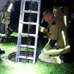 Video | Vrouw en hond worden uit metersdiepe put in Vijfhuizen gered na val