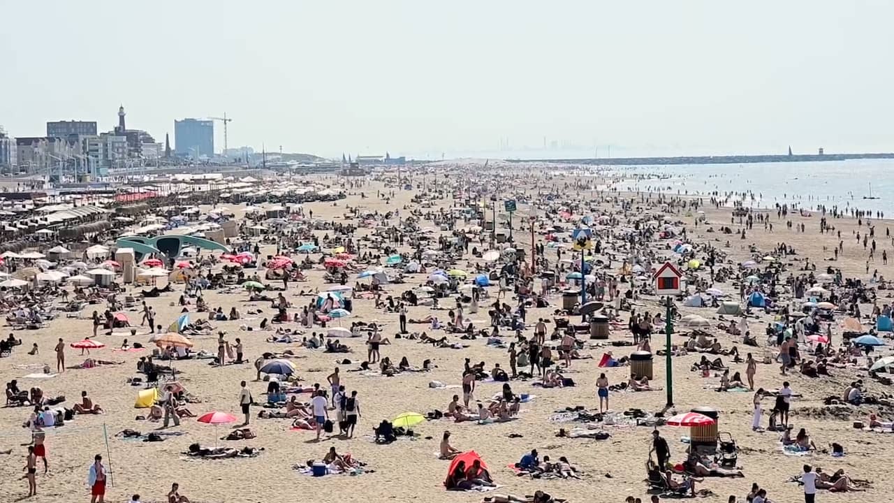 Video | Fout geparkeerde strandgangers krijgen wielklem in druk Scheveningen