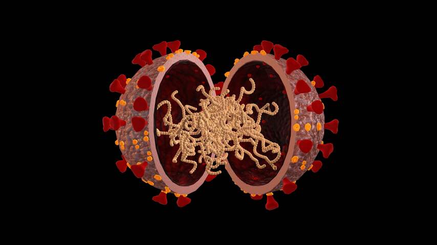 Zorgen over nieuwe virusvariant: zo ontstaat een mutatie