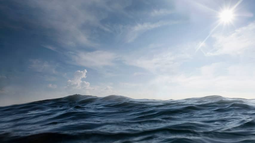 Zeewater was in juli niet eerder zo warm: 'Grote gevolgen wereldwijd'