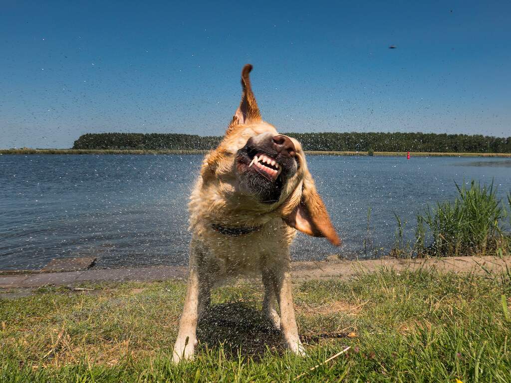Weerbericht: Dag begint zonnig, daarna meer bewolking