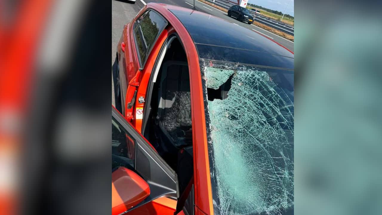 Gans vliegt door autoruit in Brabant, bestuurder naar ziekenhuis gebracht