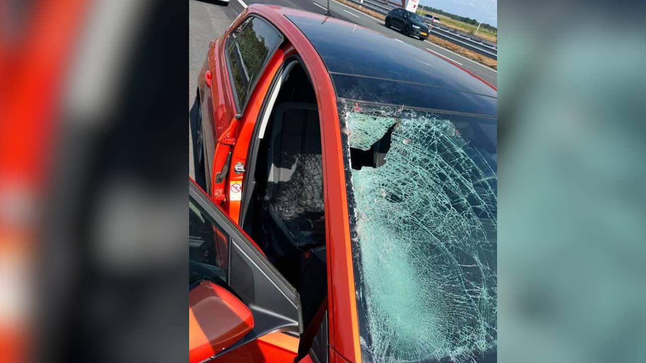Gans vliegt door autoruit in Brabant, bestuurder naar ziekenhuis ...