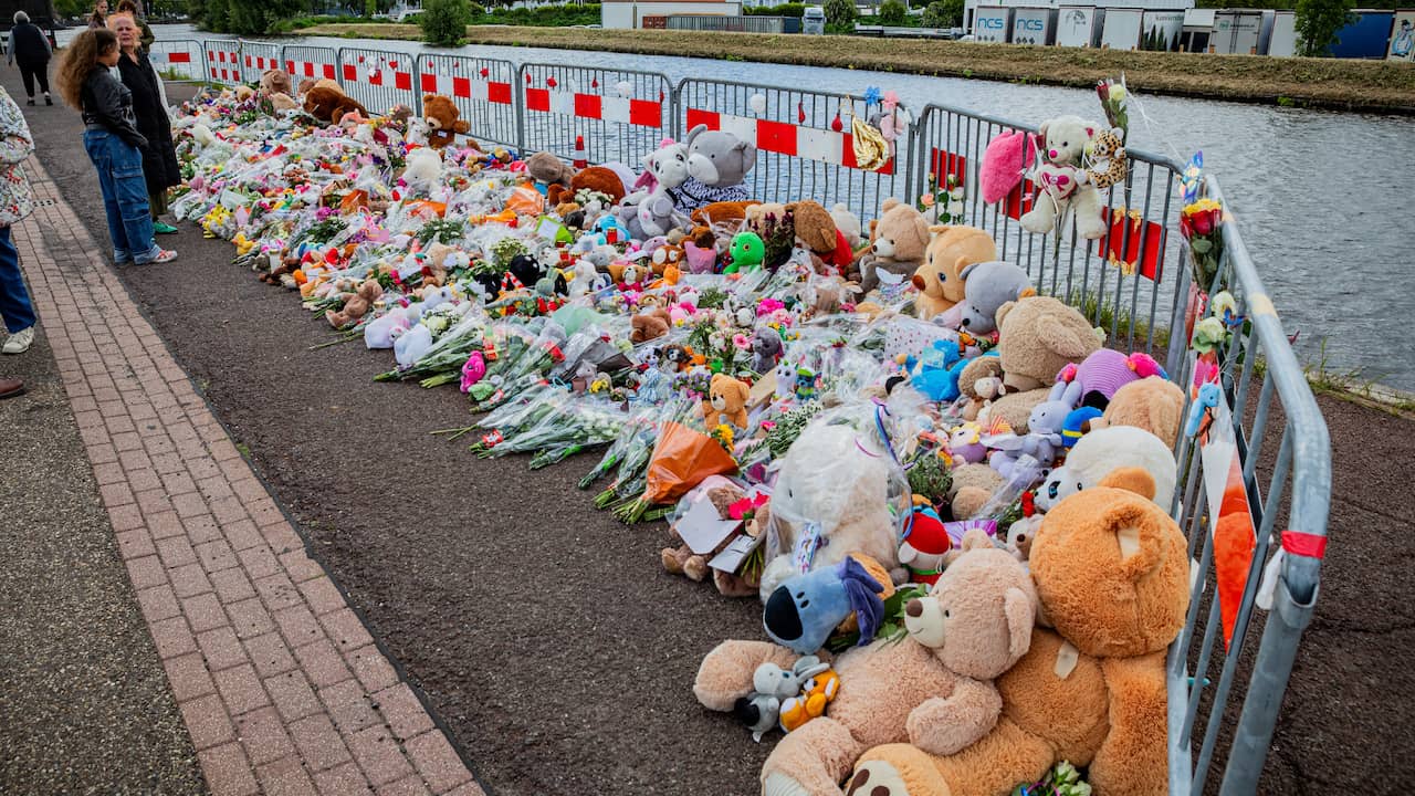 Knuffels gestolen bij herdenkingsplek Jeffrey en Emma, één verdachte aangehouden | Binnenland | NU.nl