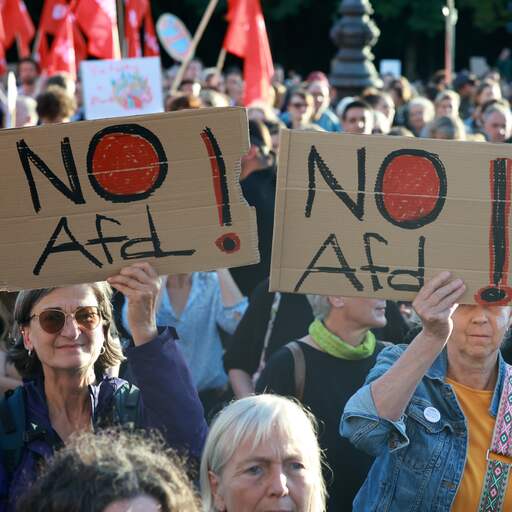 Illustratie bij: Duizenden Duitsers protesteren tegen AfD na grote verkiezingsoverwinning