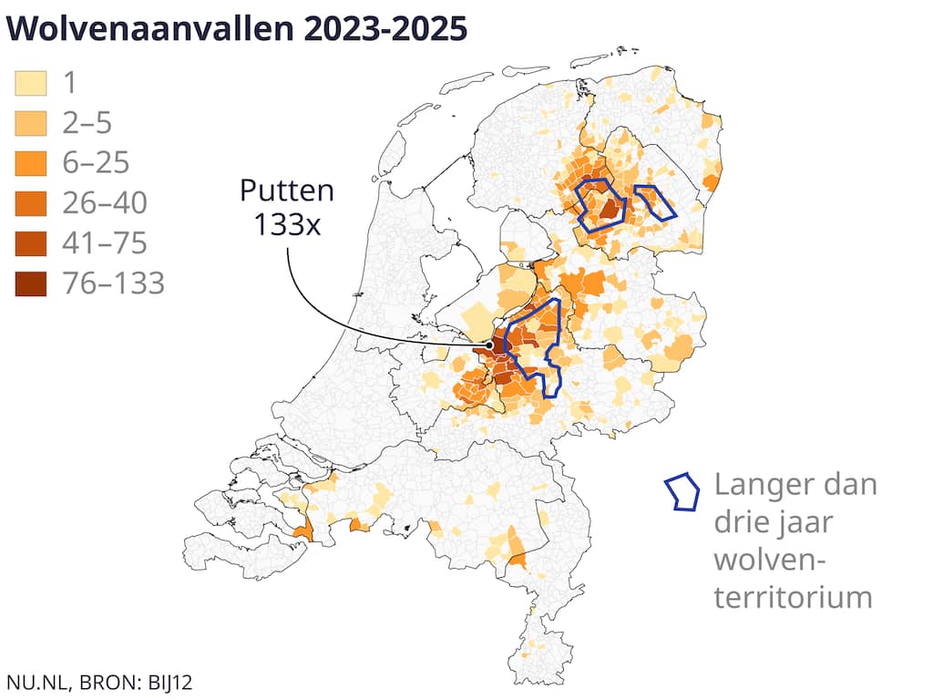 verreweg-meeste-schapen-die-door-wolf-zijn-aangevallen-waren-slecht-beschermd.jpg