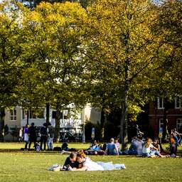 Na donderdag breekt nazomer écht aan: temperatuur stijgt naar ruim 20 graden