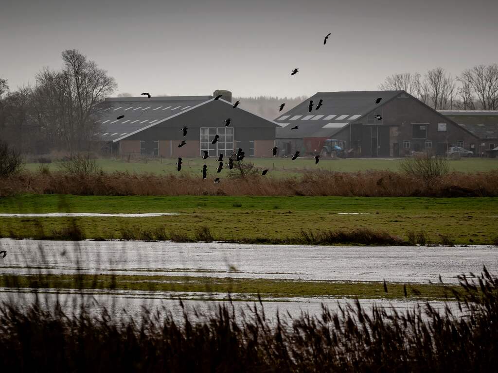 Weekweerbericht: Zachte week met veel bewolking