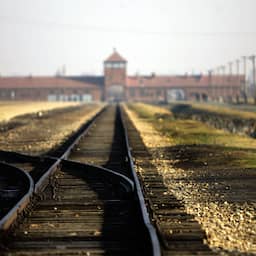 Duitsland wil dat socialemediaplatforms iets doen aan AI-beelden over Holocaust